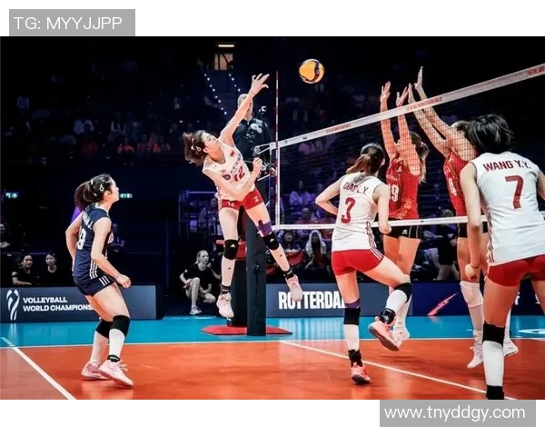 广州排球队的蜕变与成长：一段排球精神的真实纪实之旅