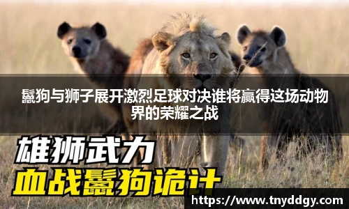 鬣狗与狮子展开激烈足球对决谁将赢得这场动物界的荣耀之战